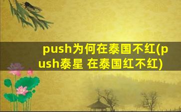 push为何在泰国不红(push泰星 在泰国红不红)